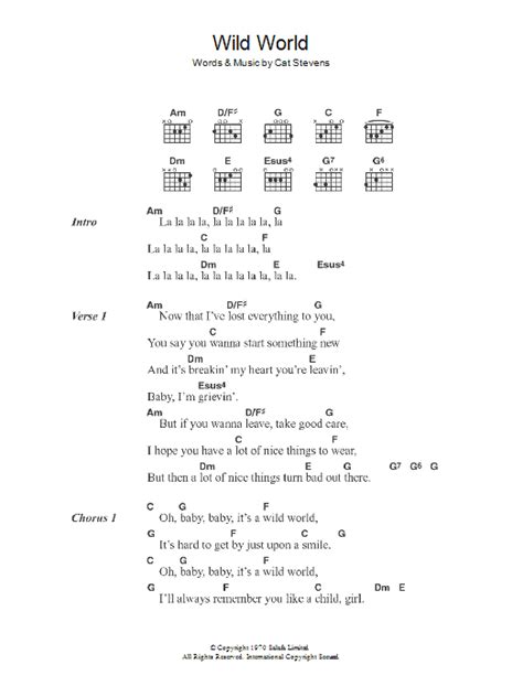 Wild World by Cat Stevens - Guitar Chords/Lyrics - Guitar Instructor