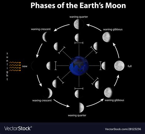 Phases Of The Earth From Moon - The Earth Images Revimage.Org