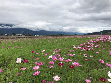 THE 15 BEST Things to Do in Taitung - 2022 (with Photos) - Tripadvisor