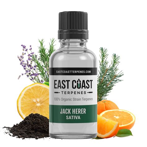 Jack Herer Terpene Liquidizer (Sativa) | East Coast Terpenes