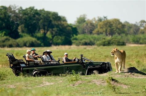 Wilderness Botswana | Wildlight Safaris Africa | Safari, Wilderness, Luxury safari