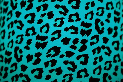 Top 999+ Leopard Print Wallpaper Full HD, 4K Free to Use