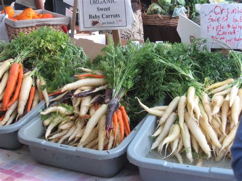 Life in Morro Bay: San Luis Obispo Farmer's Market