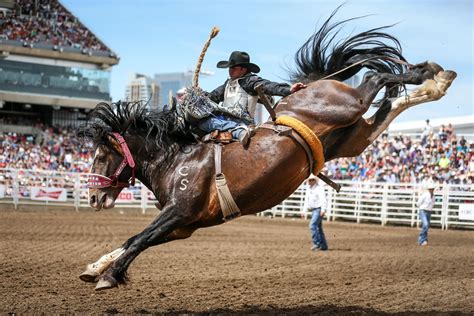 Rodeos | Utah Agenda