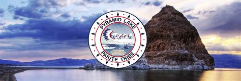 Support the Pyramid Lake Paiute Tribe | Comfort & Joy