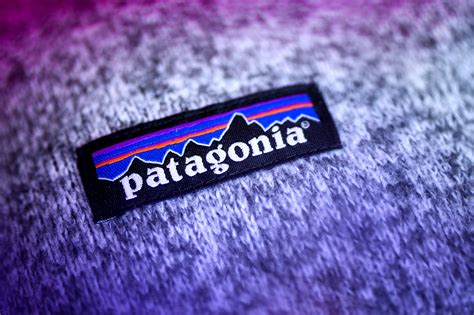 Patagonia's founder gives away company to fight climate change