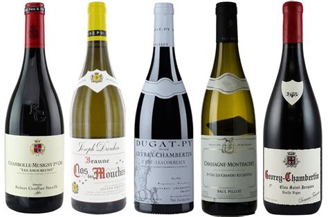 Best Burgundy 2018 premier cru wines - Decanter