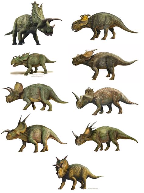 Different Ceratopsids by Sergey Krasovskiy http://atrox1.deviantart.com/gallery/ | Dinosaur ...