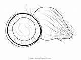 Coconut 2 Coloring Page For Kids  Free Printable sketch template