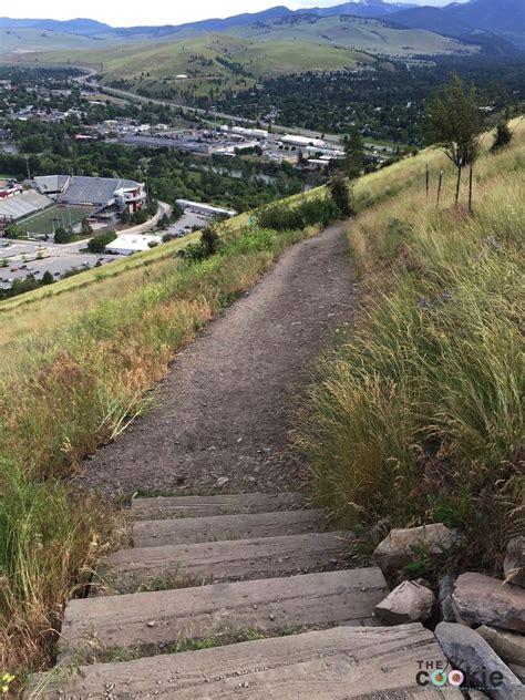 The M Trail Missoula • The Fit Cookie | Missoula montana, Missoula ...