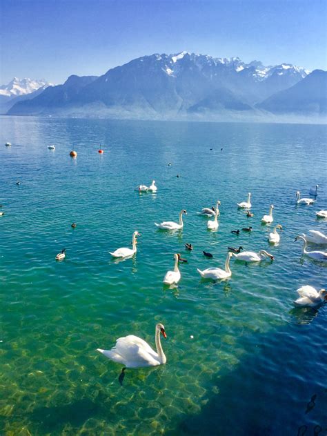 Lake Geneva Vevey, Switzerland Lake Geneva Switzerland, Switzerland Summer, Places In ...