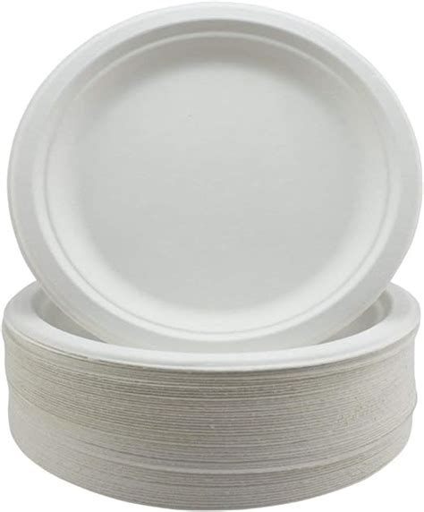 Super Rigid Bagasse Plates Biodegradable and Disposable - Eco-Friendly Non Plastic Alternative ...