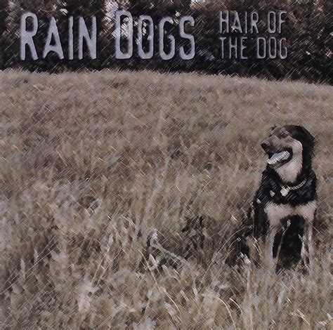 Rain Dogs - Rain Dogs : Hair of the Dog - Amazon.com Music