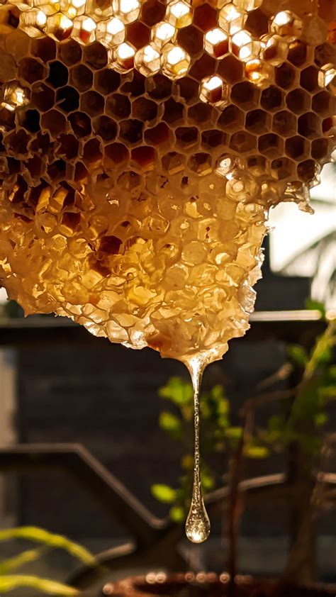 10 Best Honey To Buy In 2023 - Organic & Raw