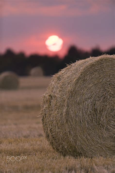 Sunset On The Field With Straw Bales - Sunset On The Field With Straw ...