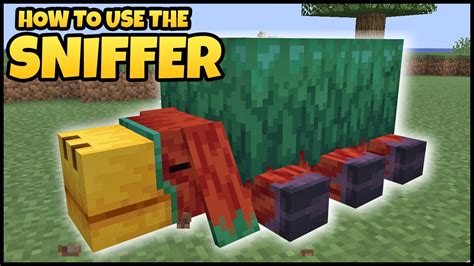 How To Use The SNIFFER In MINECRAFT - YouTube