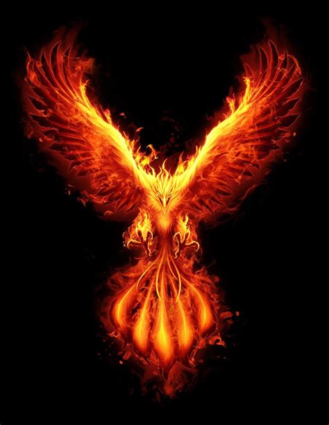 Burning Phoenix | Phoenix tattoo, Phoenix bird art, Phoenix artwork