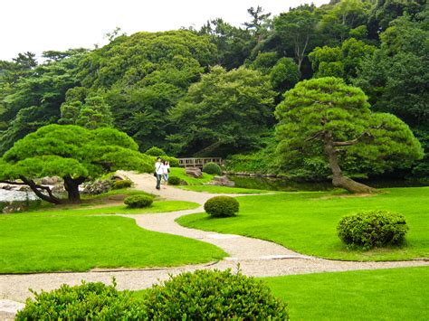 Wow, check out this beautiful Shinjuku Gyoen National Garden in Japan | BOOMSbeat