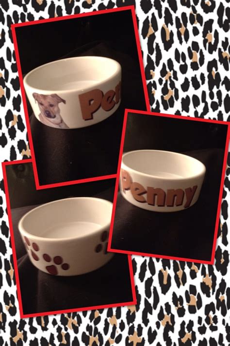 Ceramic Dog Bowls | Ceramic dog bowl, Dog bowls, Ceramics