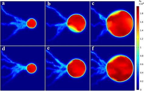 Interstitial fluid pressure distribution for six considered networks ...