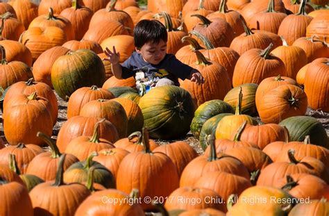 Ringo Chiu Photography: 20171007 Pumpkin Festival in Cal Poly Pomona