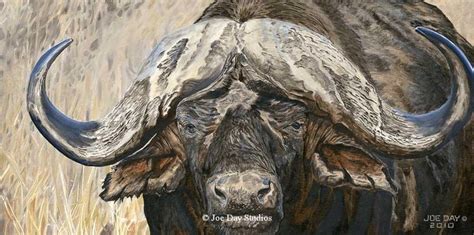 Oil painting of a Cape Buffalo. | Landscape paintings, Painting, Art