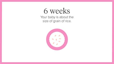 6 Weeks Pregnant: Symptoms, Tips, and More