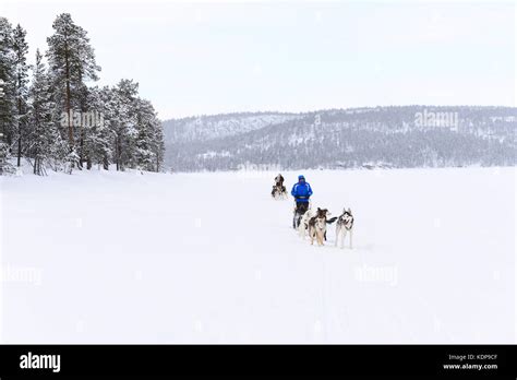 Lapland and Northern Lights Stock Photo - Alamy