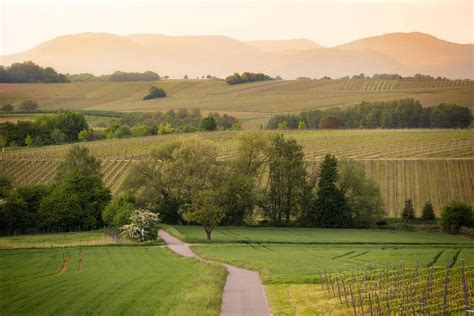 Bad Bergzabern: Hiking in the Southern Palatinate - funkyGERMANY