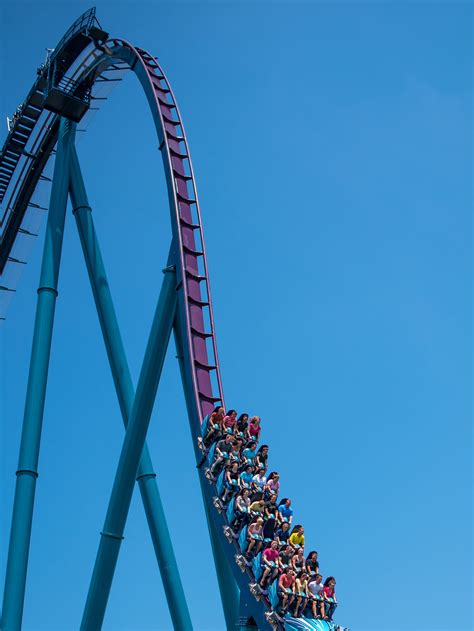 To Fight Floundering Attendance, SeaWorld Turns To Roller Coasters : NPR