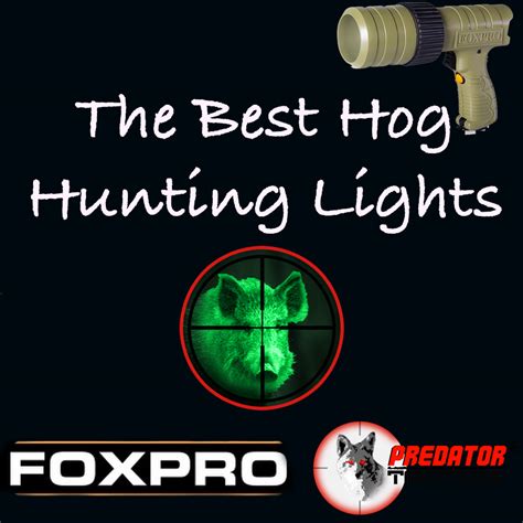 7 Best Hog Hunting Lights (2022) - Hunting Gear Deals