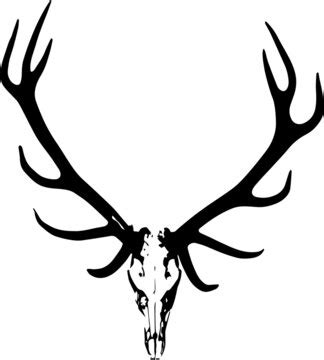 3,397 BEST Vector Deer Skull IMAGES, STOCK PHOTOS & VECTORS | Adobe Stock