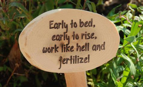 Pin by Mary Brashaw on self | Funny garden signs, Garden signs, Garden ...