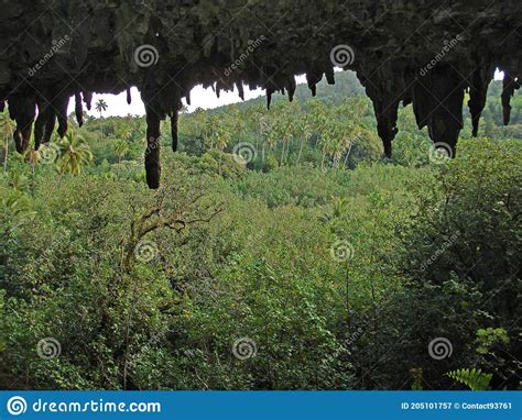 Mangaia Caves Cook Islands stock image. Image of afgelegen - 205101757