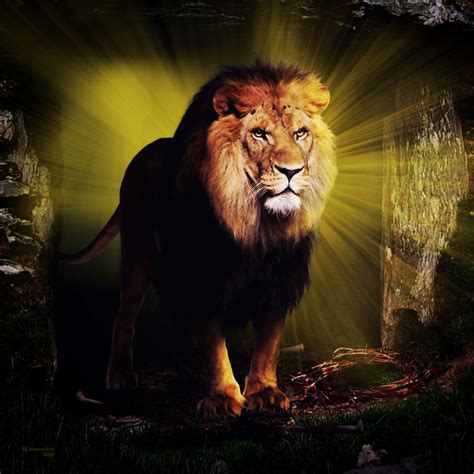 🔥 [140+] Lion Of Judah Wallpapers | WallpaperSafari