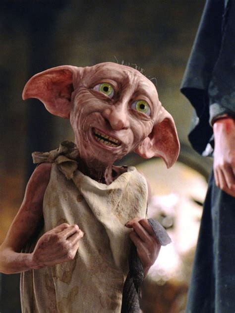 Harry Potter’s Dobby Spotted on CCTV camera outside a woman’s house - #camera #dobby #harry ...