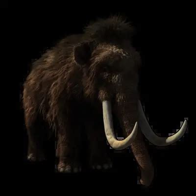 Woolly Mammoth Facts – Woolly Mammoth Habitat and Diet - Woolly Mammoth Extinction