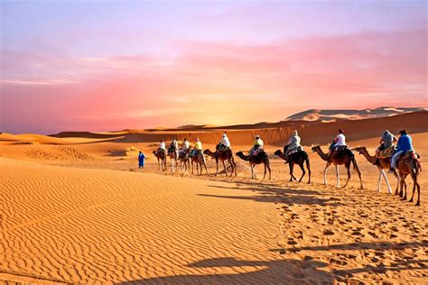 4 Must-Visit Regions in Morocco's Desert | kimkim