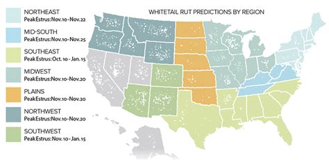 Timing the Whitetail Rut | An Official Journal Of The NRA