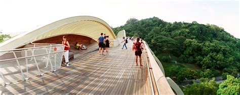 Henderson waves bridge Singapore - Sirb Travel & Tours