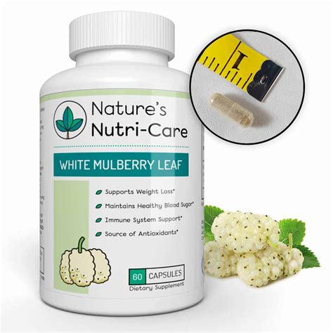 White Mulberry Leaf, Pure Extract - Nature’s Nutri-Care