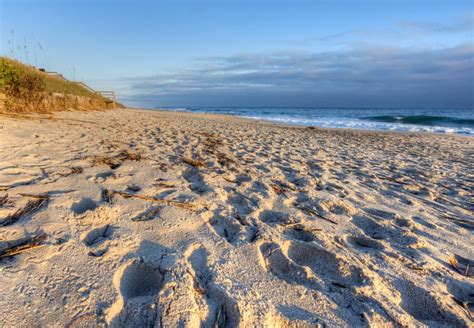 Canaveral National Seashore: Florida's longest unspoiled beach