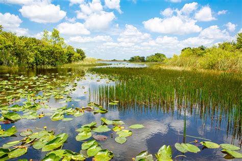 Everglades-Nationalpark: Tipps für Ihren Besuch