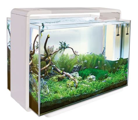 Aquarium - Aquariofil.com et Poisson d'Or