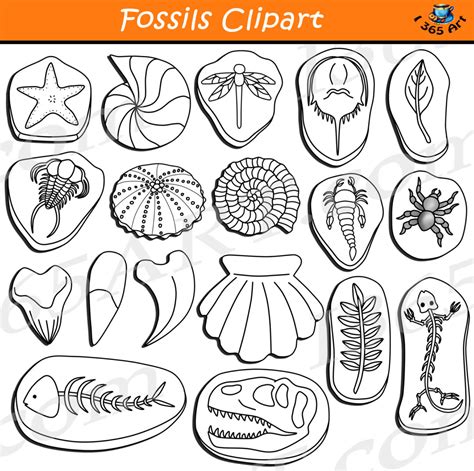 Fossils Clipart Download Earth Science - Clipart 4 School