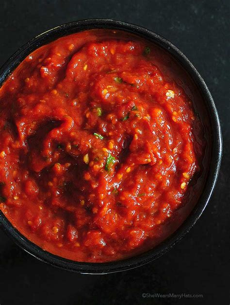 Spicy Roasted Tomato Chipotle Salsa Recipe | She Wears Many Hats