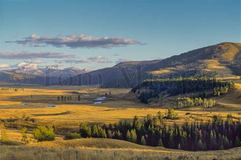 Lamar Valley Yellowstone National Park By Jan Mulherin ...