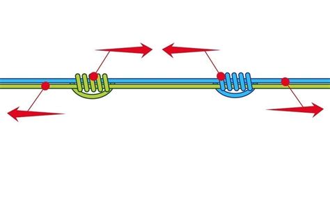 How to tie the Back-to-back Grinner Knot