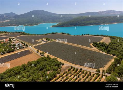 Aerial view on plateau Valensole with blossoming lavender fields near ...