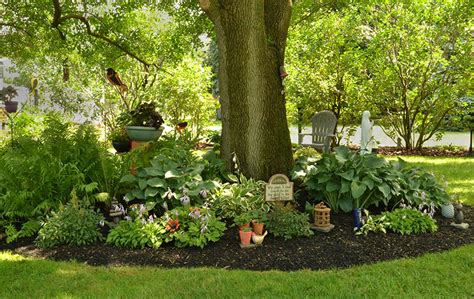 10+ Landscaping Under Trees Pictures – HOMYRACKS